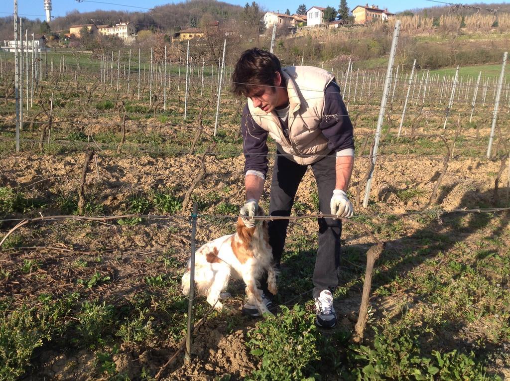 Azienda Agricola Garoglio Davide Alfiano Natta Eksteriør bilde